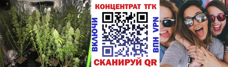 Дистиллят ТГК Wax Грайворон