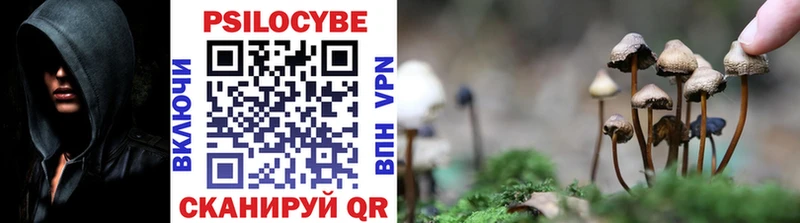 Псилоцибиновые грибы ЛСД Грайворон